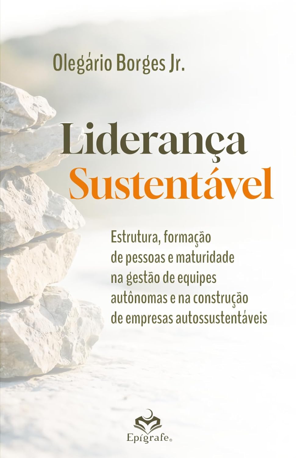 Capa do livro Liderança Sustentável, de Olegário Borges Jr.